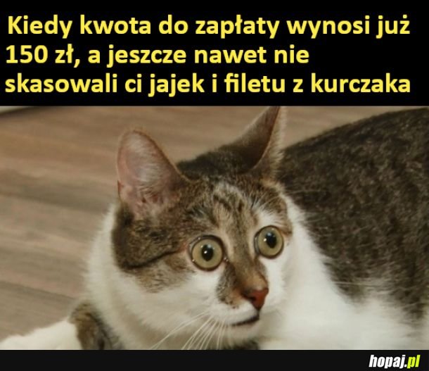 Ceny w sklepach