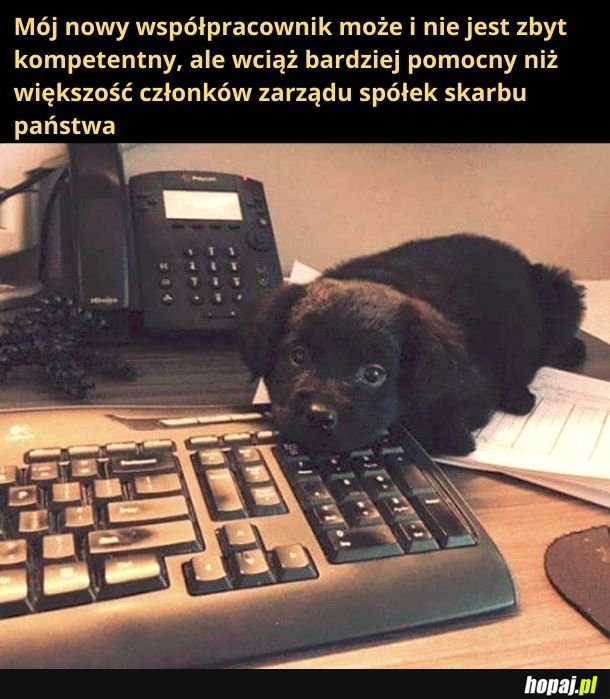 I jaki uroczy!
