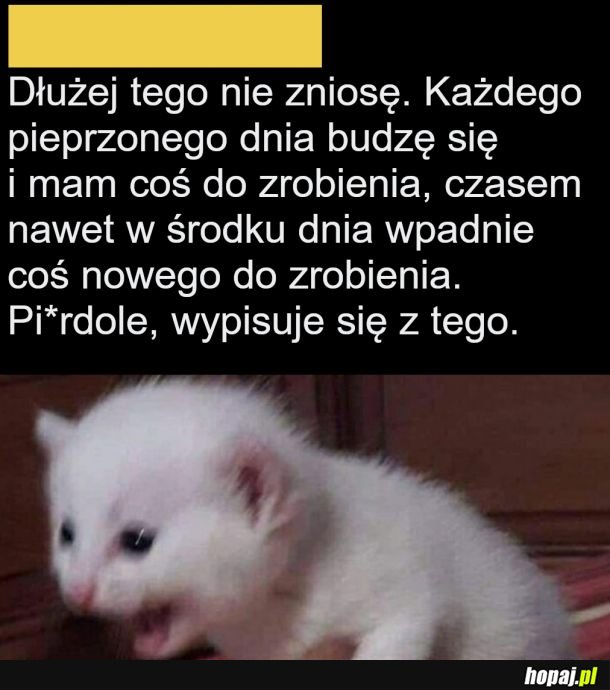 Dłużej tego nie zniosę