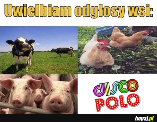 ODGŁOSY WSI