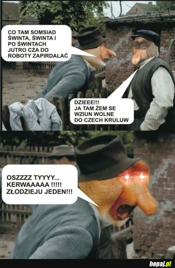 OSZ TY ZŁODZIEJU KURŁA