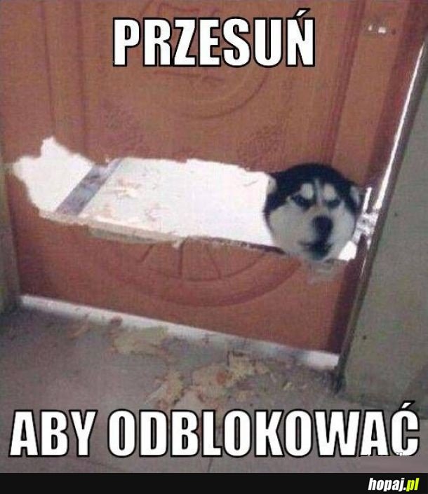 Przesuń pieseł