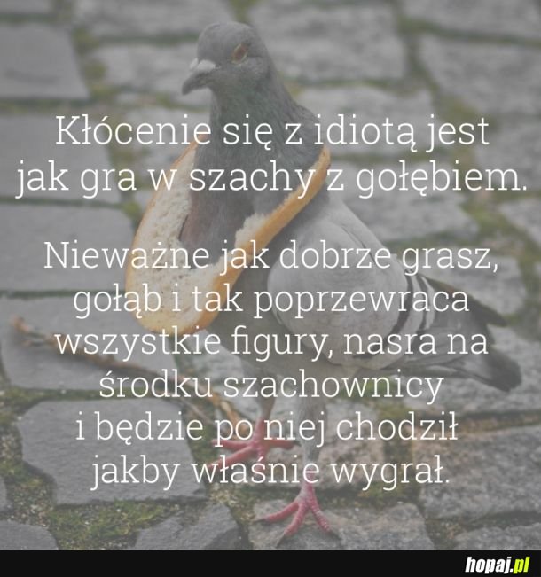 Nie ma sensu