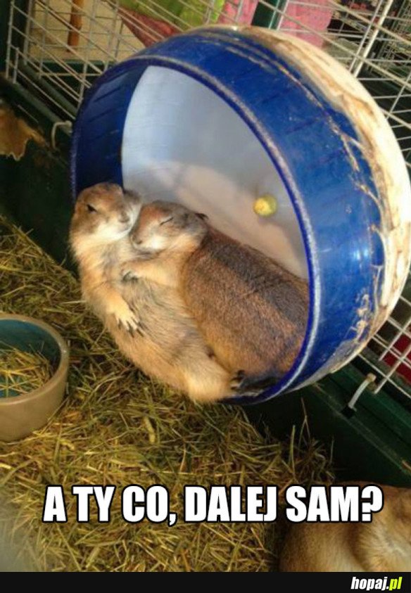 A Ty dalej sam?