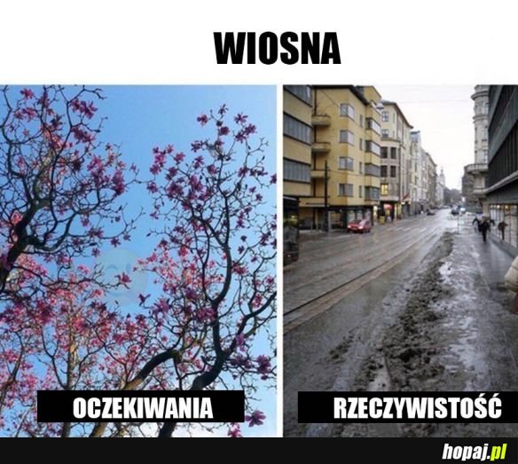 Wiosna