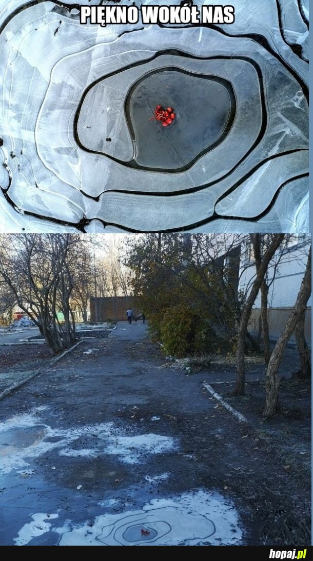 A ty byś zdeptał