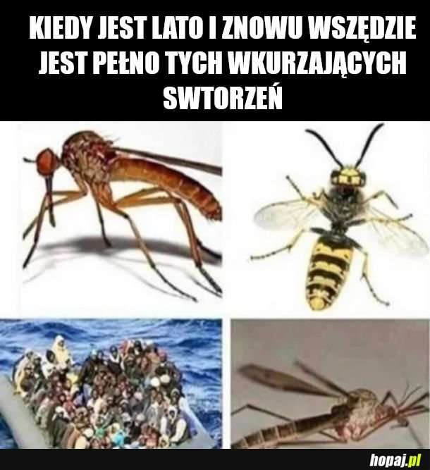  Południe kontynentu wie o co cho 