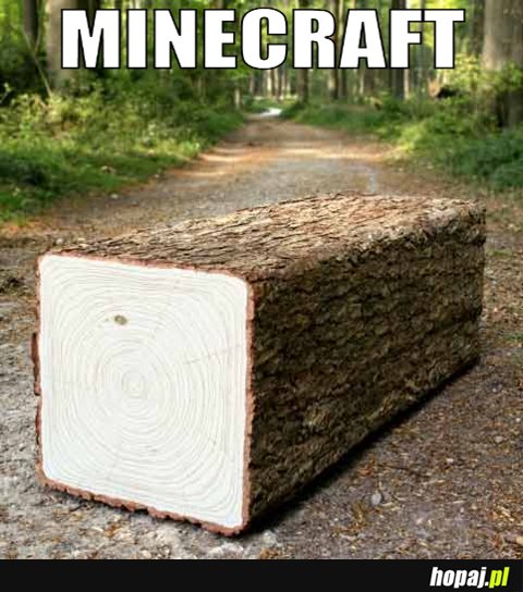 Minecraft