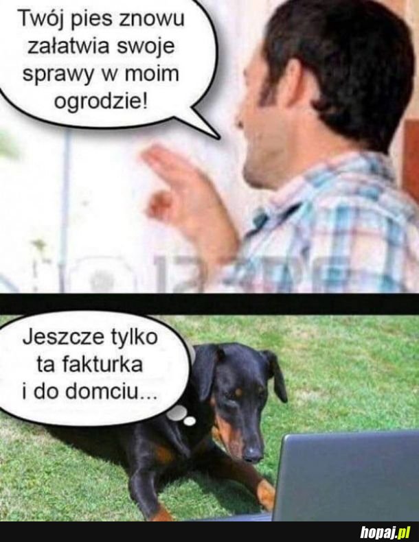 Psie sprawy