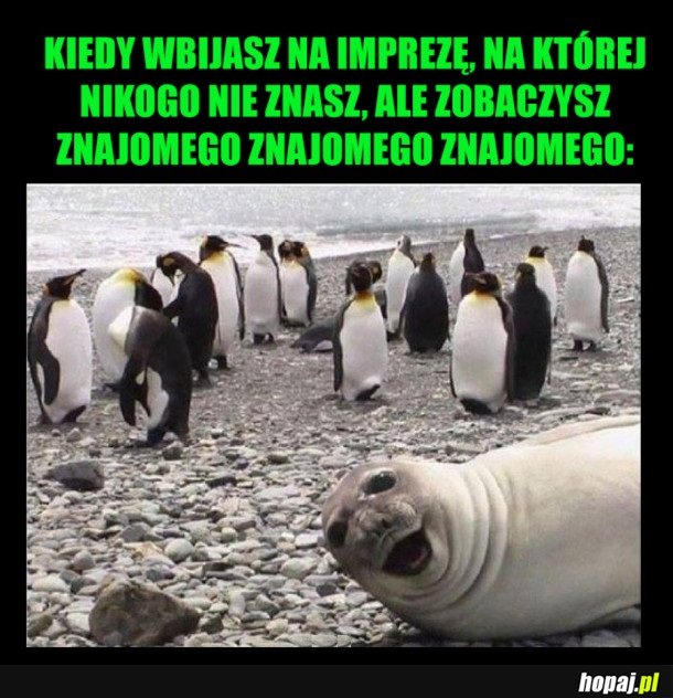 NA IMPREZIE