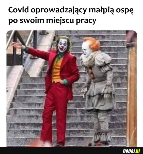 Nowy współpracownik