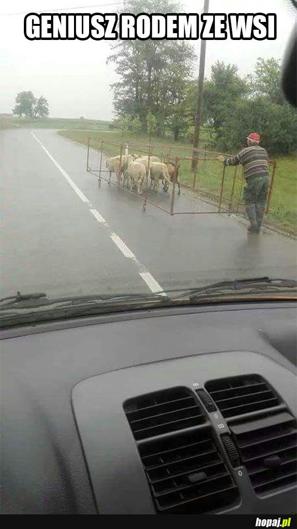 Cóż za genialne rozwiązanie