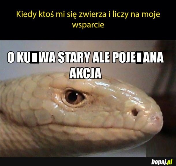To wszystko co mogę zrobić