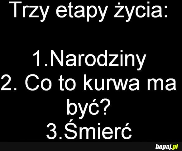 Etapy życia