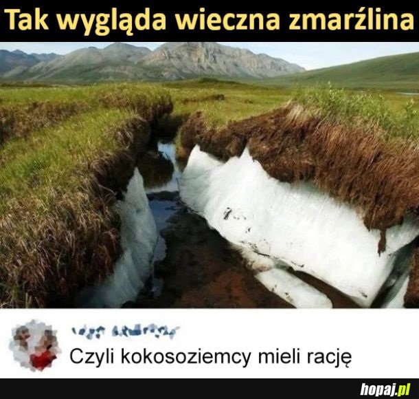 Kokosoziemcy mieli rację