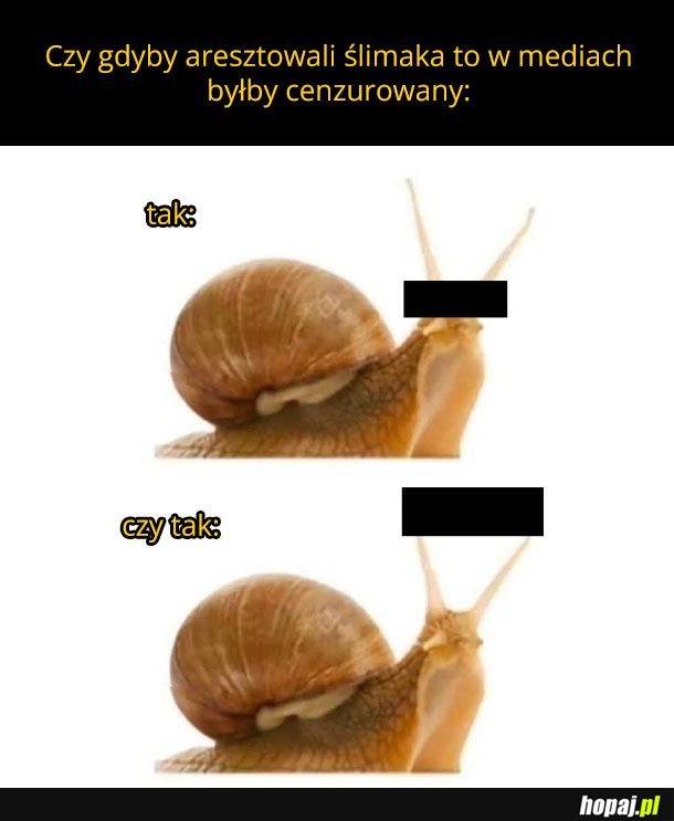 Ważna sprawa