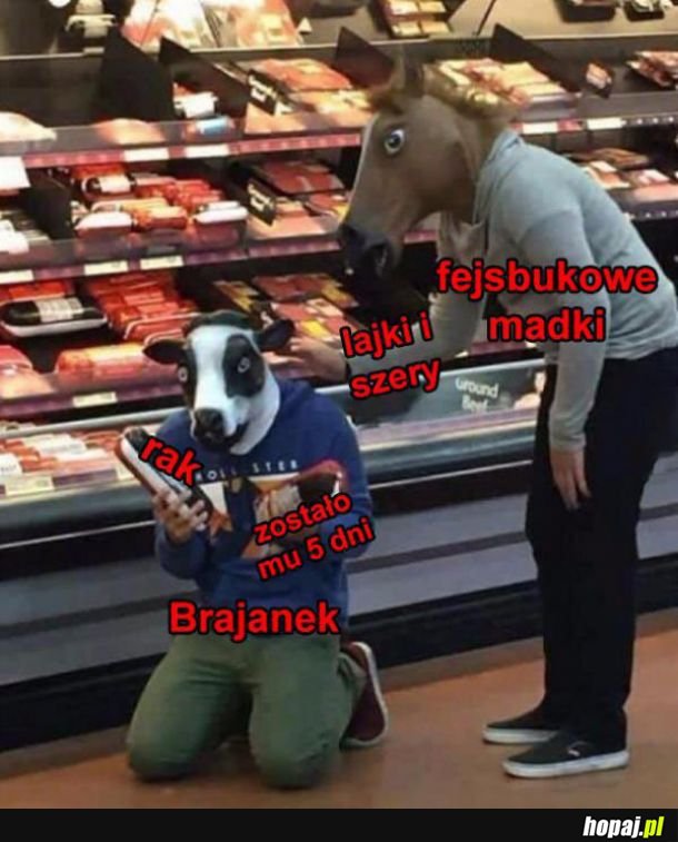 Lajkowanie ważna rzecz 