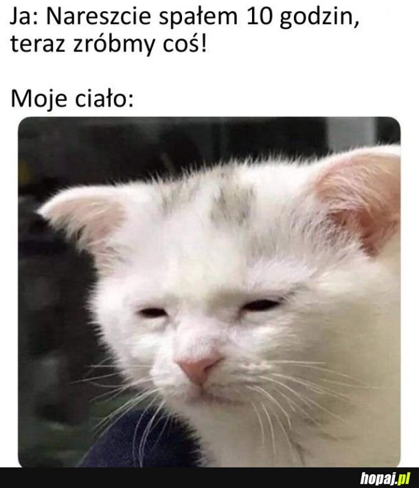  Dlaczego tak jest?! 