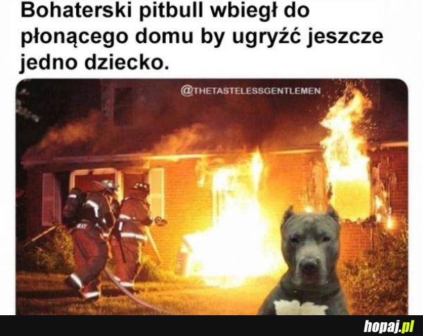 Bohaterski pieseł