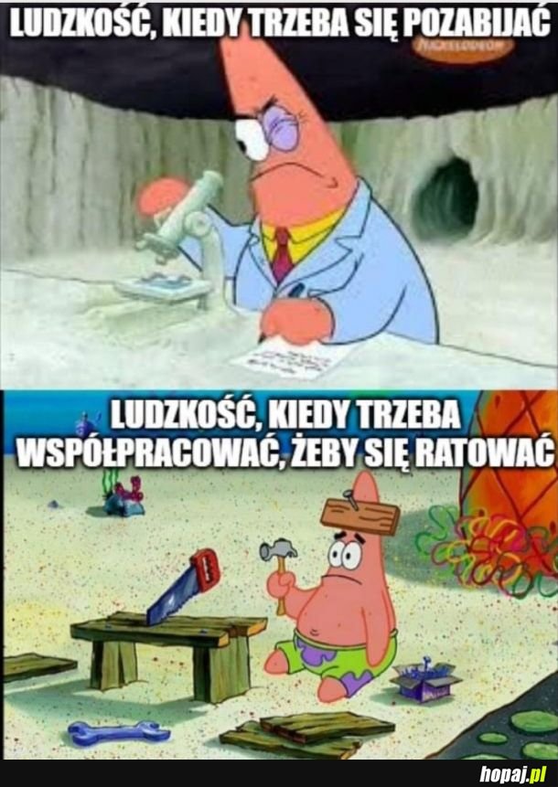 Ludzkość