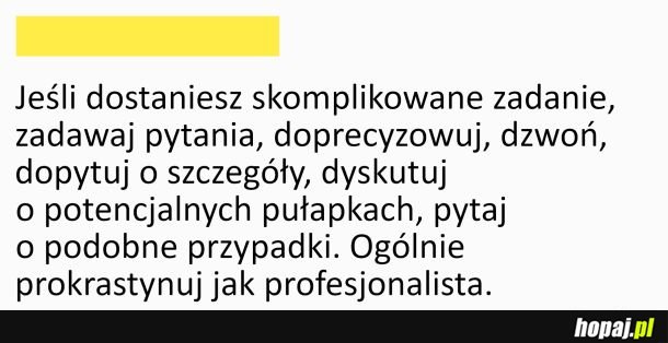 Jak prawidłowo prokrastynować