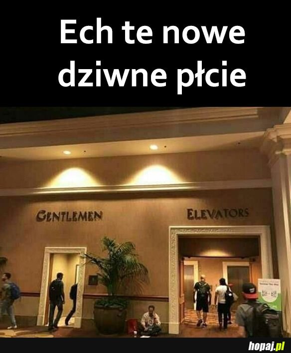 Dziwny jest ten świat