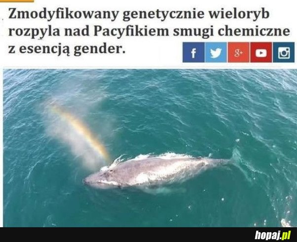 TAK BYŁO