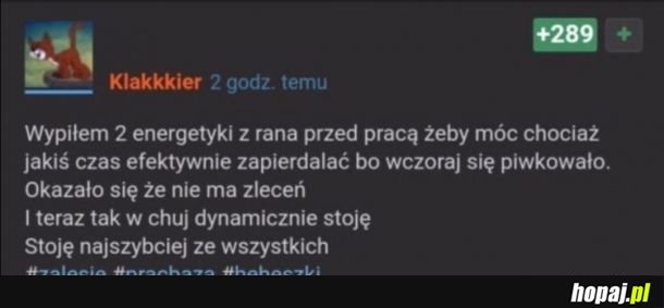 Zawsze kłody pod nogi ;)