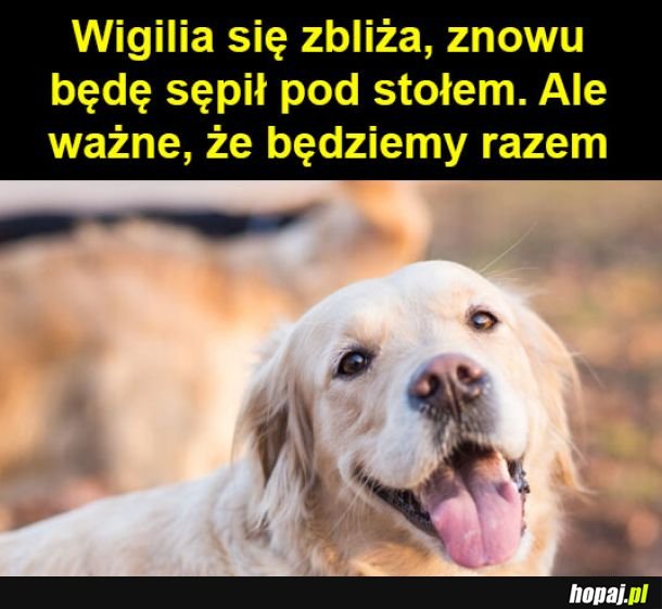 Dla nich to też czas wyżerki