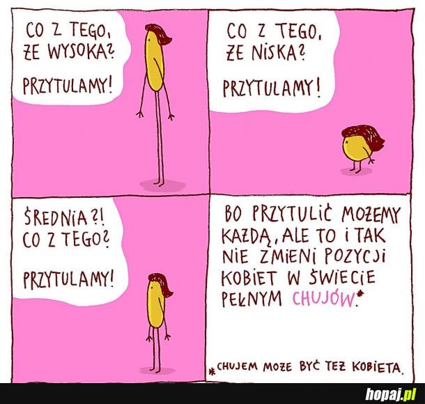 Przytulanki 