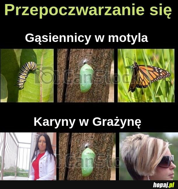  Przepoczwarzanie się 