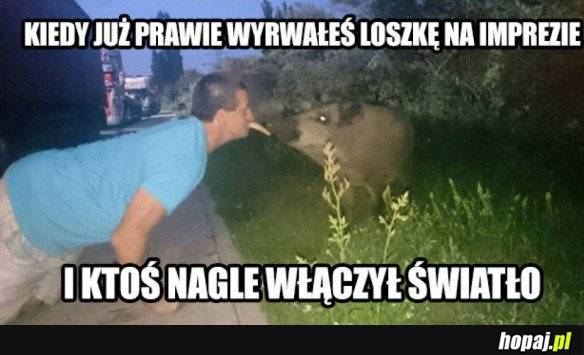 KIEDY JUŻ PRAWIE WYRWAŁEŚ LOSZKĘ