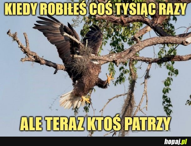 Nie patrz!