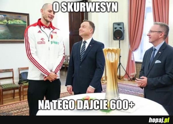 Kurek