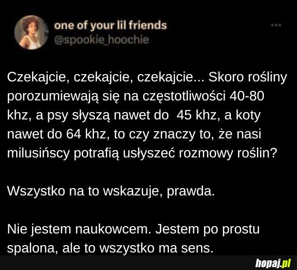 Fafik, przestań gadać z kaktusem i chodź na spacer.
