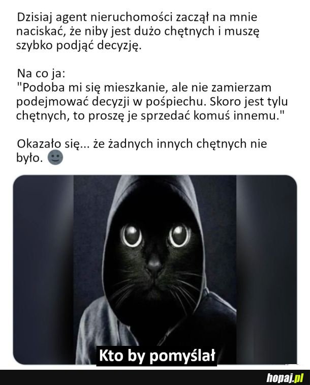 No patrzcie