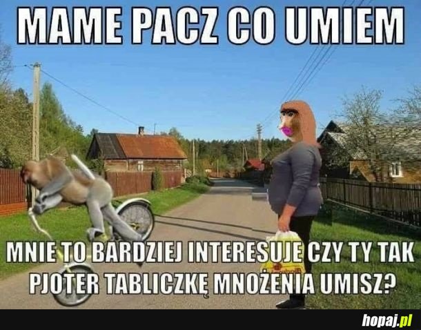 Pacz co umiem