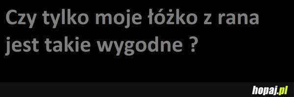 Czy tylko moje łóżko z rana jest takie wygodne?