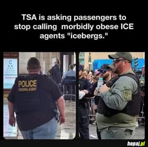 Icebergs XD