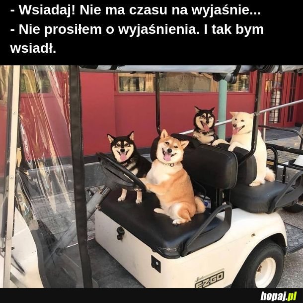  Piesełomobil 