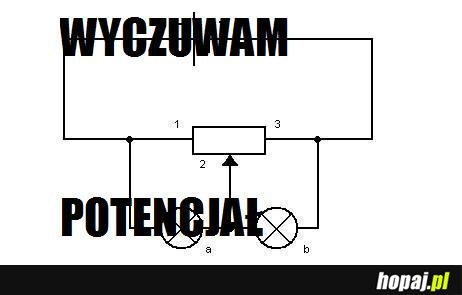 Wyczuwam potencjał 