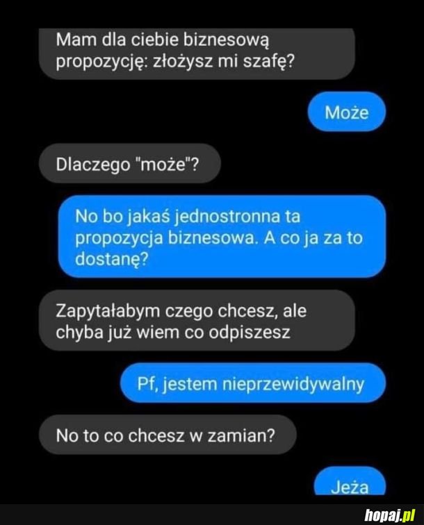 Jeże są spoko