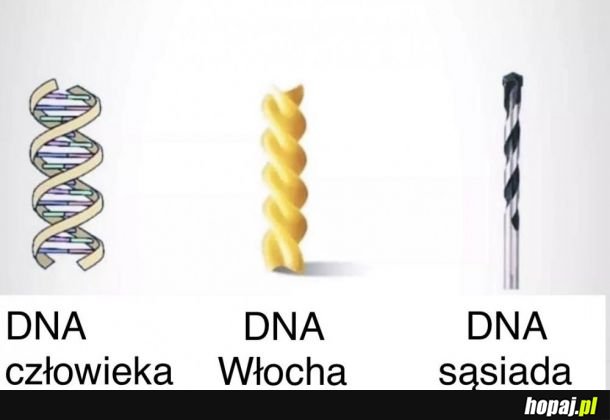  DNA 