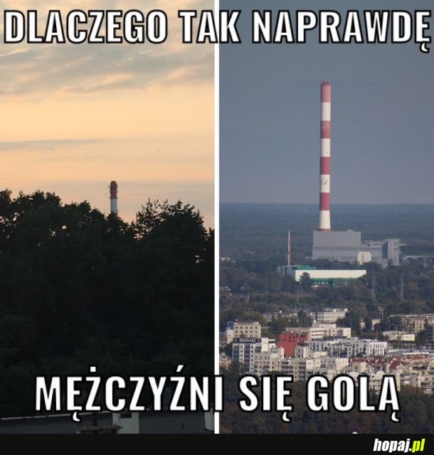 Dlaczego tak naprawdę mężczyźni się golą