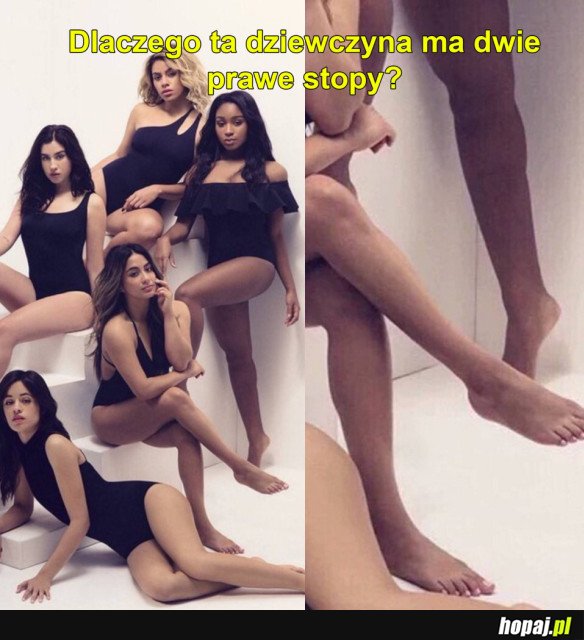 Wtf?!