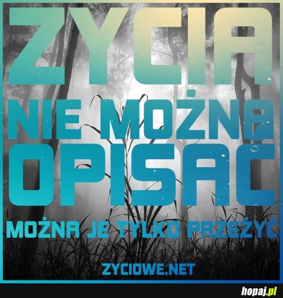 Życia nie można opisać, można je tylko przeżyć