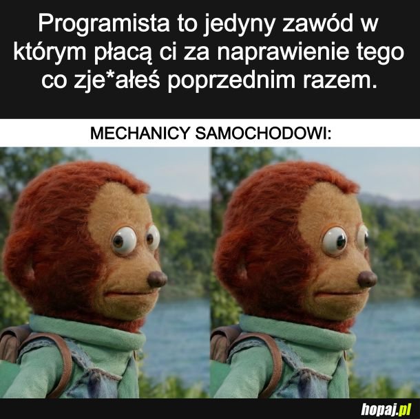 Mechanik samochodowy