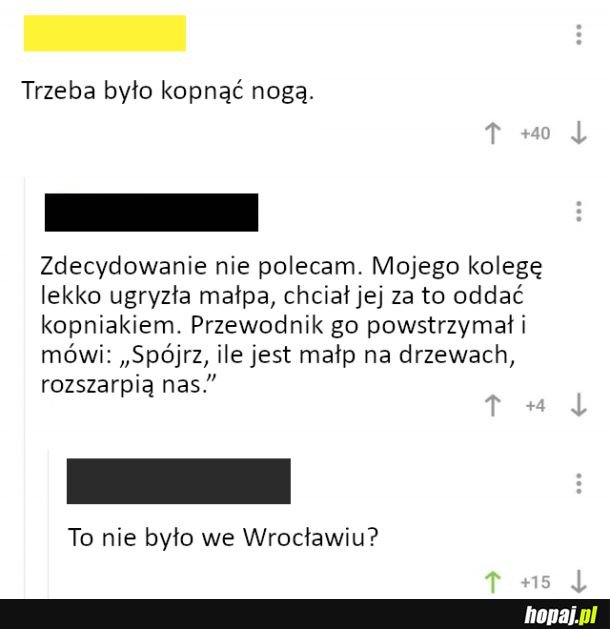 Wrocławski vibe