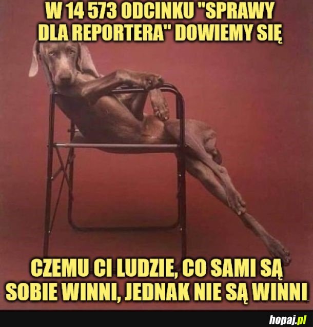 Sprawa dla piesiortera.