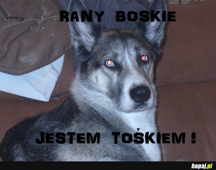 Rany Boskie...